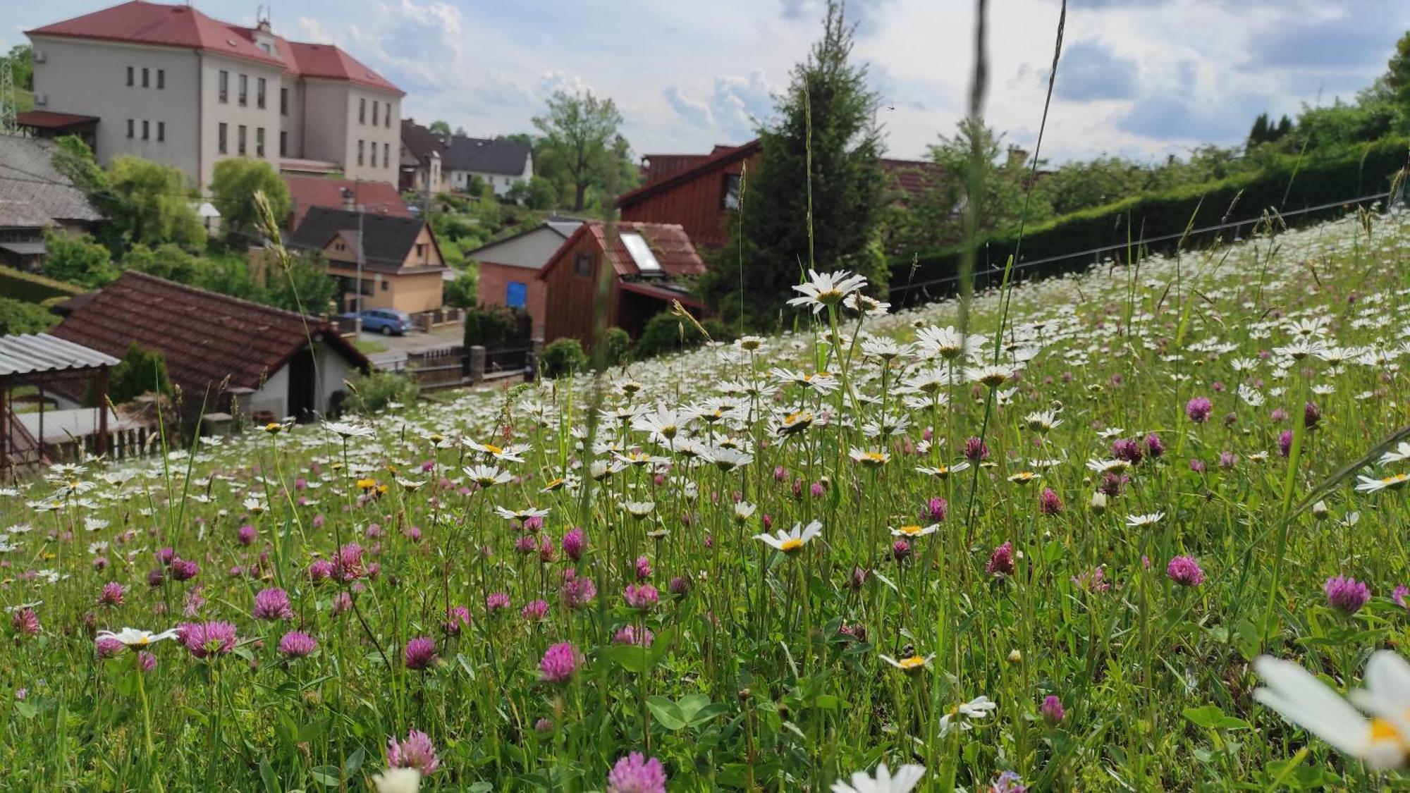 Apartman V Pensionu U Holzaepfelu แชร์เวนี กอสตาเลตส์ ภายนอก รูปภาพ